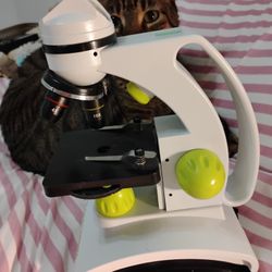 Microscope 🔬 (Cat Not Included)