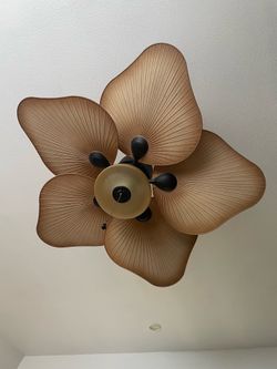 Ceiling fan