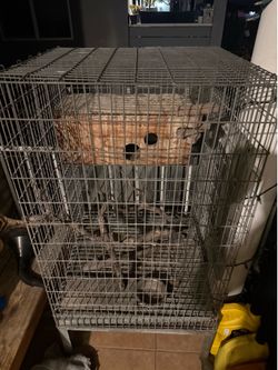 Bird cage $100 OBO
