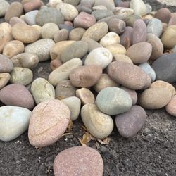 Multi Color pebbles For Landscaping
