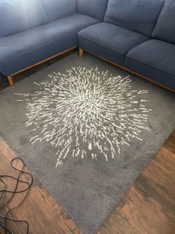 7x7 area rug
