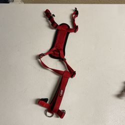Small Kong Red Padded Harness