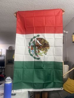 Bandera De México $15