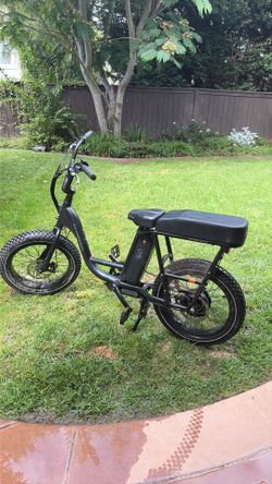 Radrunner 2 Ebike