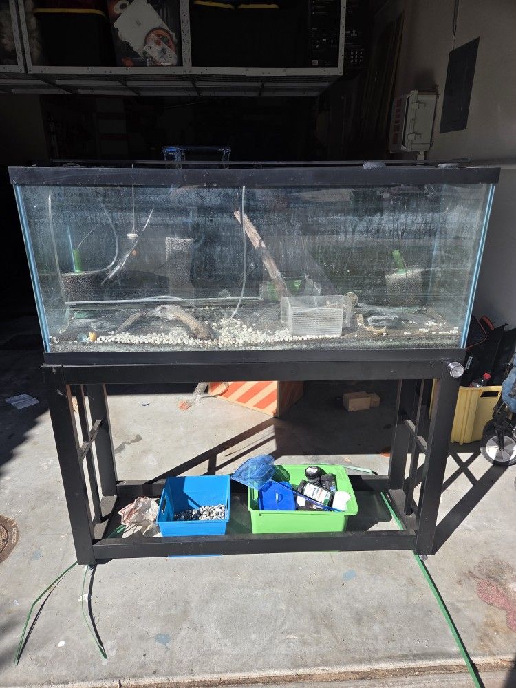 55 Gallon Aquarium/Fish Tank