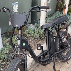 Radrunner 2(trades Can Add Cash)