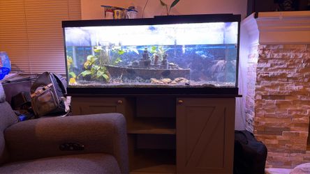 Fish tank