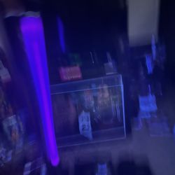 24 Inch’s Black Light 