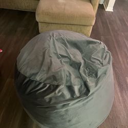 Free Bean Bag Pickup Only