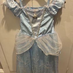 Disney Cinderella Dress/costume Halloween 