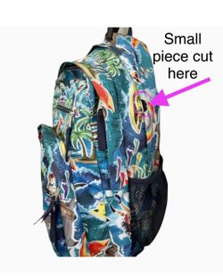 blue recon north face backpack Men's Recon Backpack