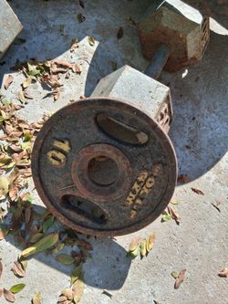 Gold gym weights