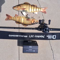 Lowdown custom BB swimbait rod 8ft 6in W/daiwa tatula 300 right-handed reel