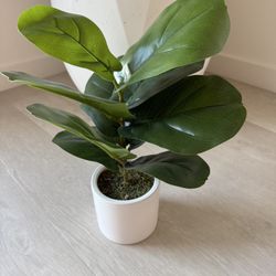 Faux Fiddle Leaf Fig Plant in White Pot