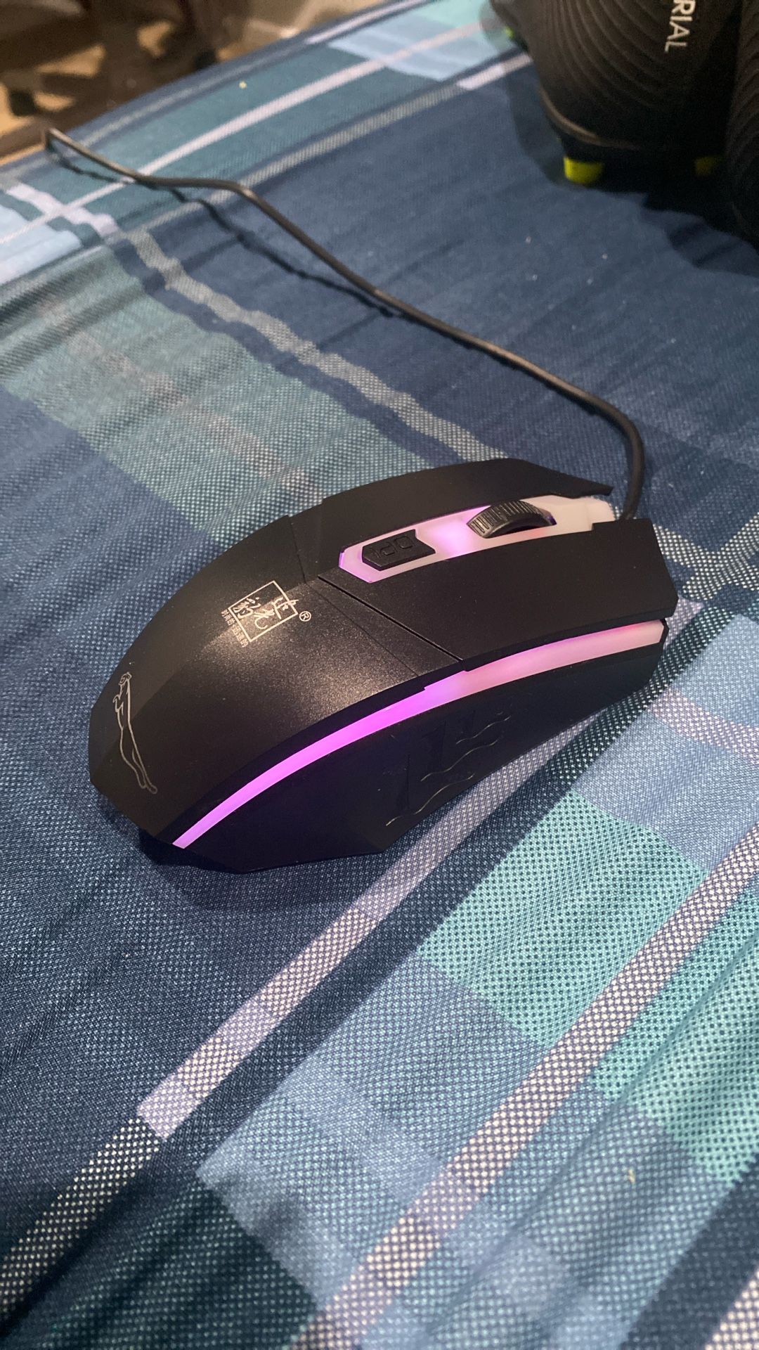 Mouse