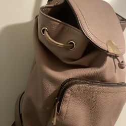 Aldo Pink Backpack