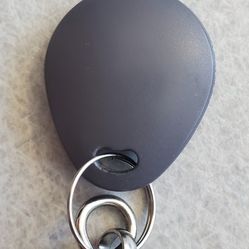 I Will Clone Your Pool, Garage, Laundry Key Fob