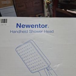 Handheld shower head