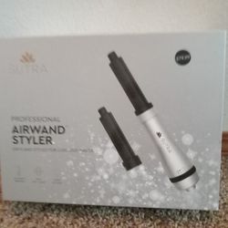 Professional Airwand Styler