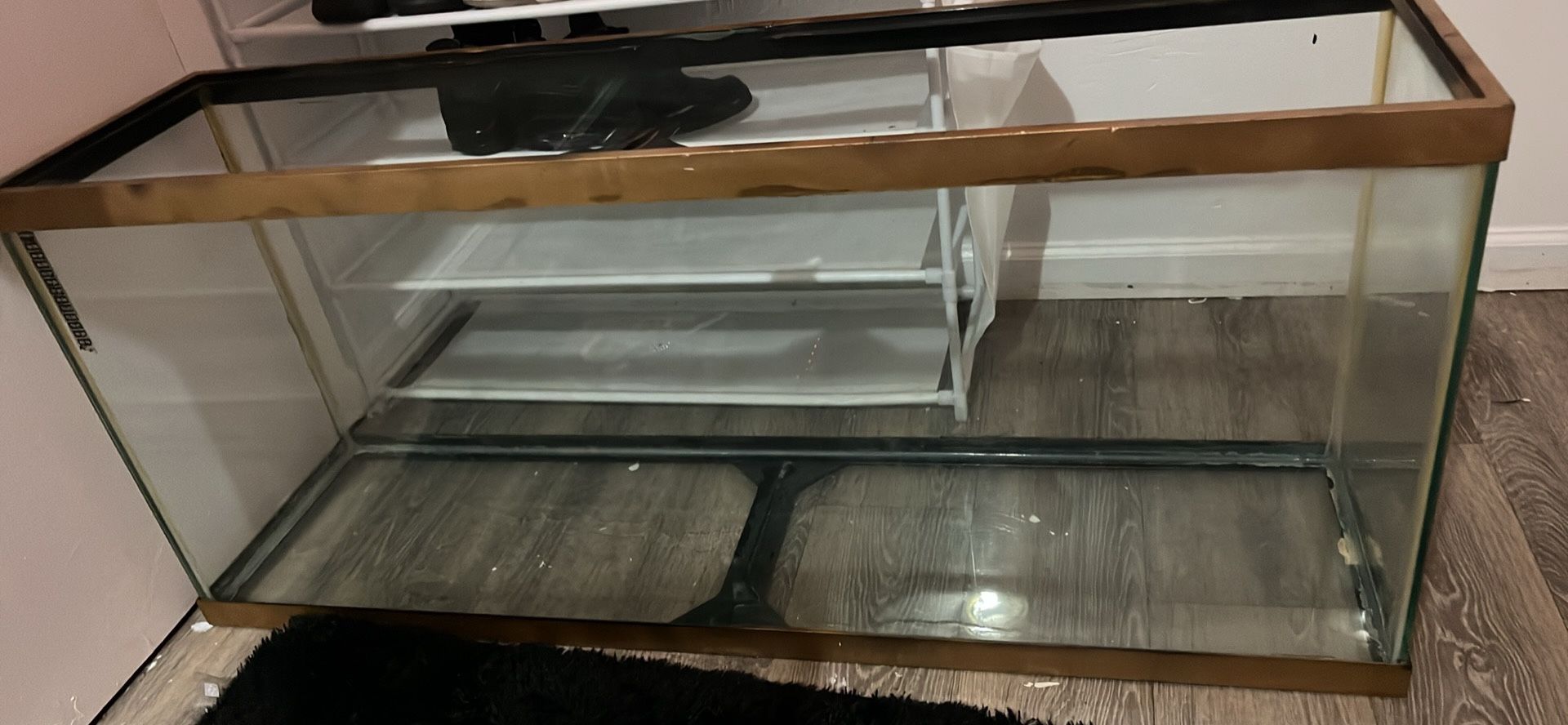Aquarium Tank