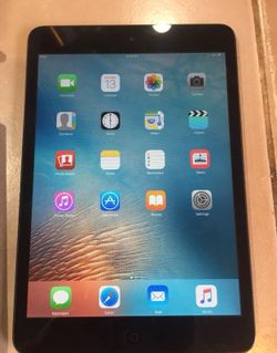 IPad mini 16gb space gray perfect confirm fully working .