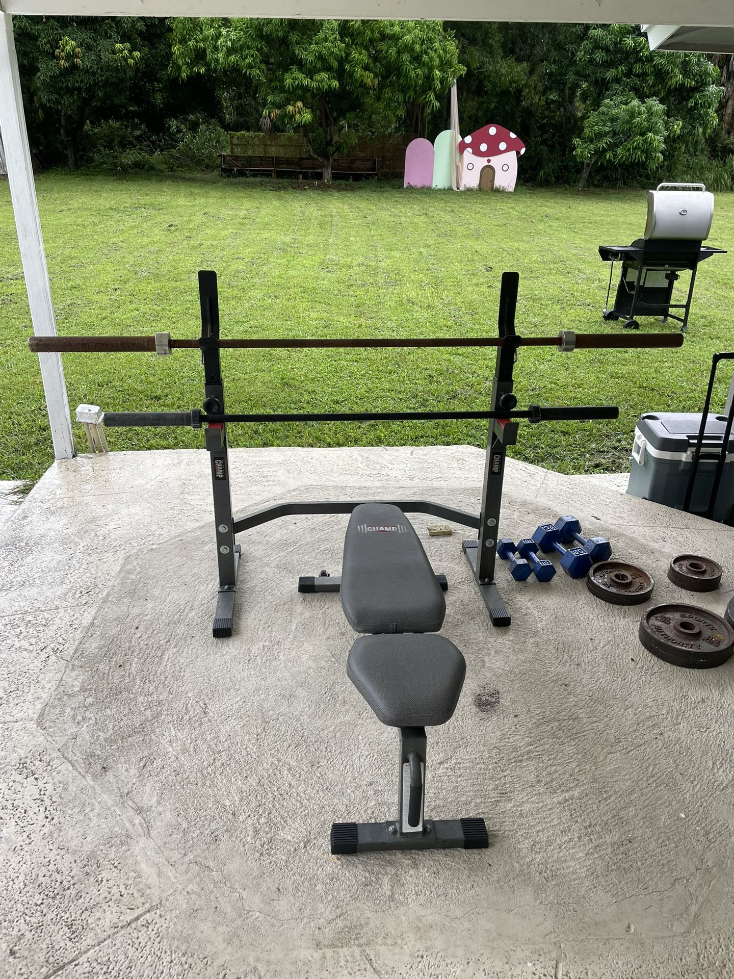 Barbell / squat rack / plates