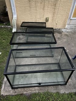 4 Tanks 3 Fishtanks And One Reptile Tank