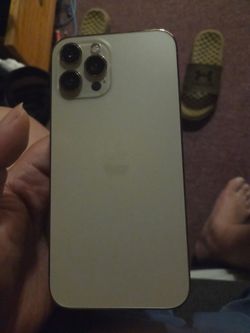 iPhone pro max 12 brand new