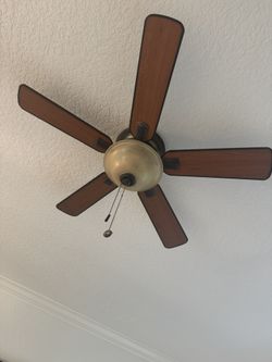 3 Fans $50 Each