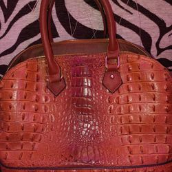 Zimbabwe Crocodile Hornback Purse