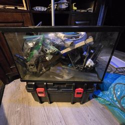 20g Tall Aquarium & Many Extras