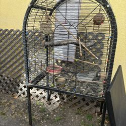 BIRD 🦜 CAGE 