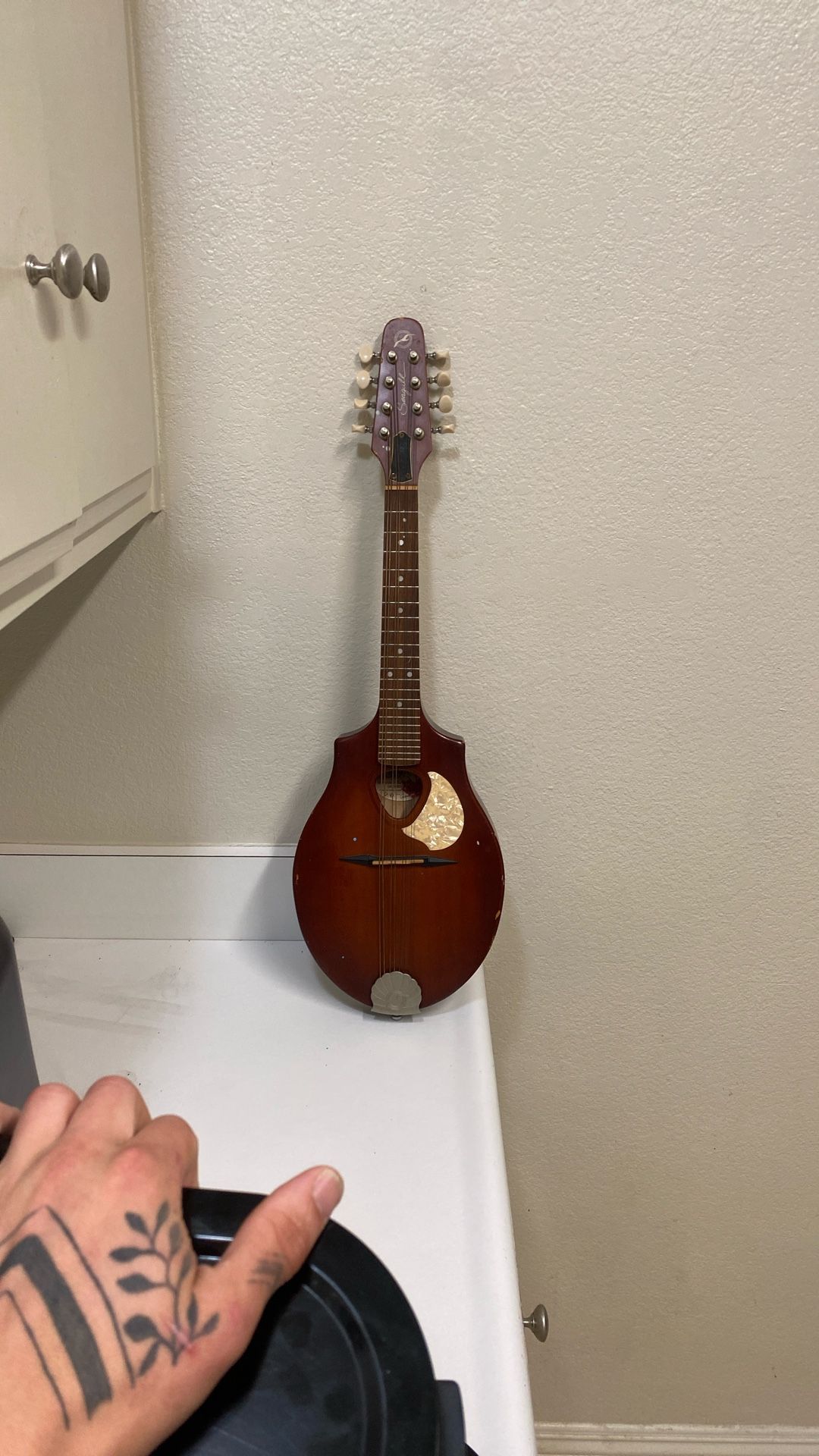 Seagull S8 Mandolin Burnt Umber SG