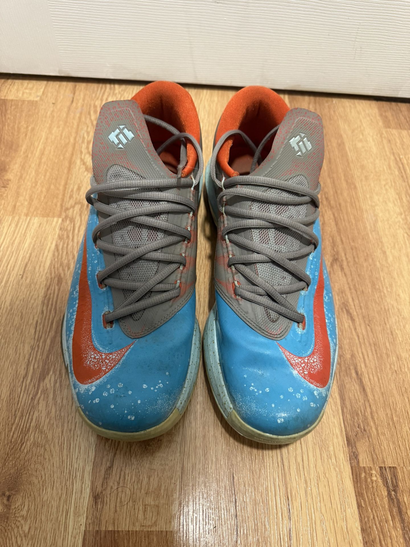 KD 6 Maryland Blue Crab Size 11
