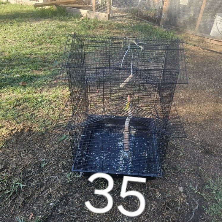 Birds Cage 
