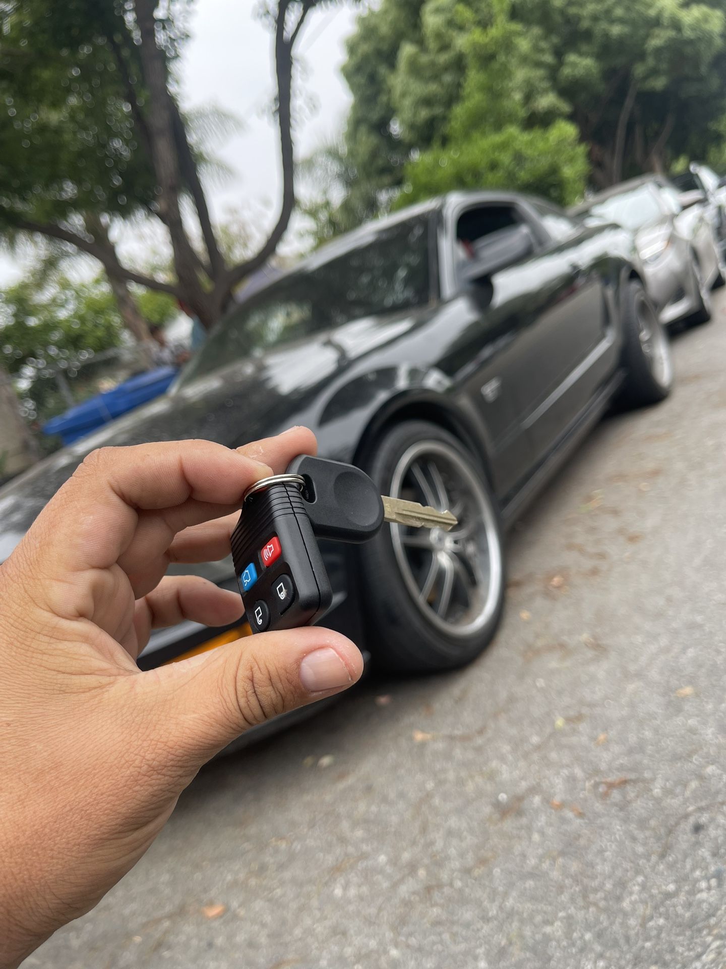 Llaves De Carro Car Keys And Remotes
