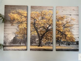 Set Of 3 Canvas Art  $15