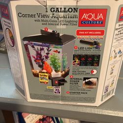 One Gallon Aquarium 