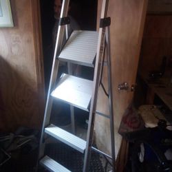 2 Ladders  Buy Both For $30 Or $20 For 1