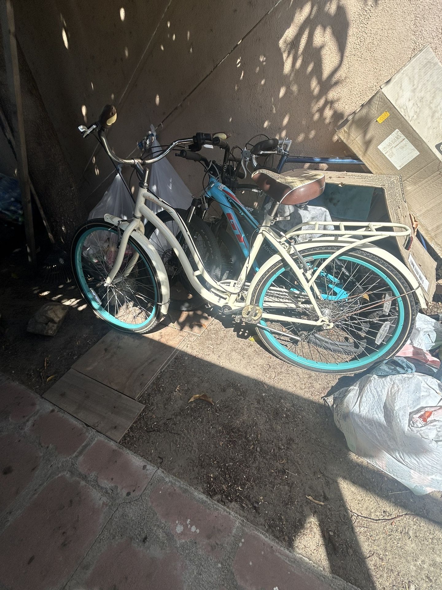 Beach Cruser