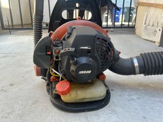 Echo Gas-Powered Backpack Leaf Blower