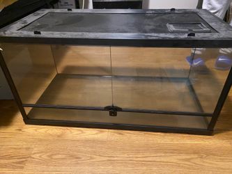 Bearded dragon tank / starter kit
