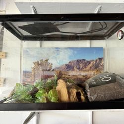 Reptile Tank, Light, Heating Pad