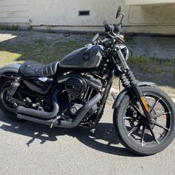 2022 Harley Davidson Iron 883