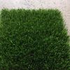 new grass