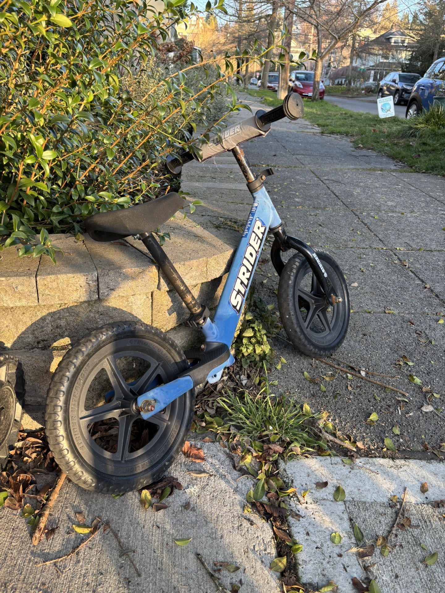 Strider Bike