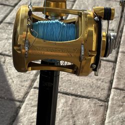 Penn International V 30VSW Big Game Rod & Reel 