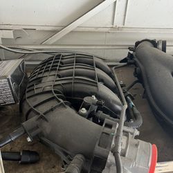 Mustang Intake