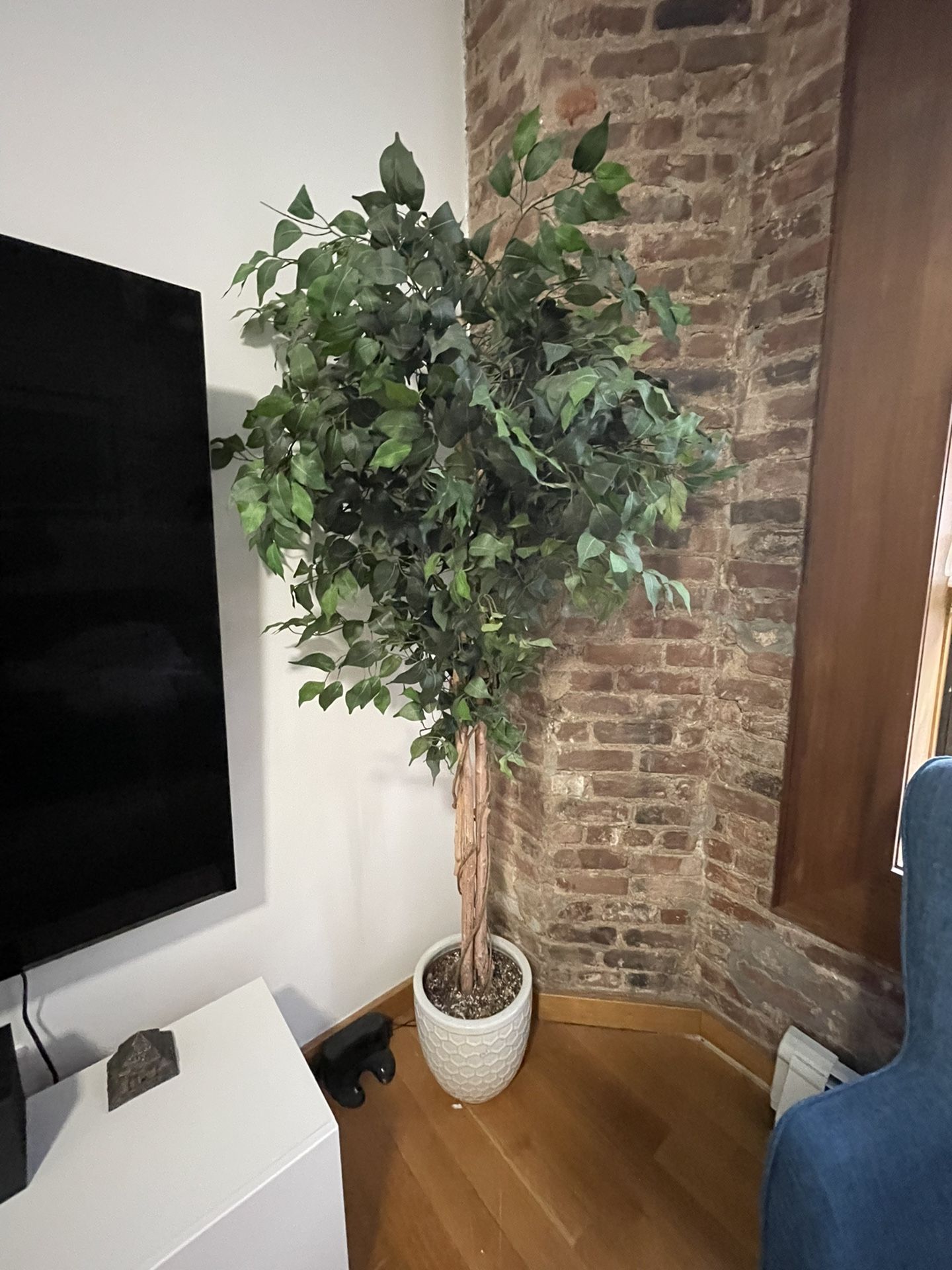 Floor Plant (fake)