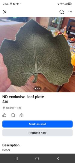 Leaf plate decor